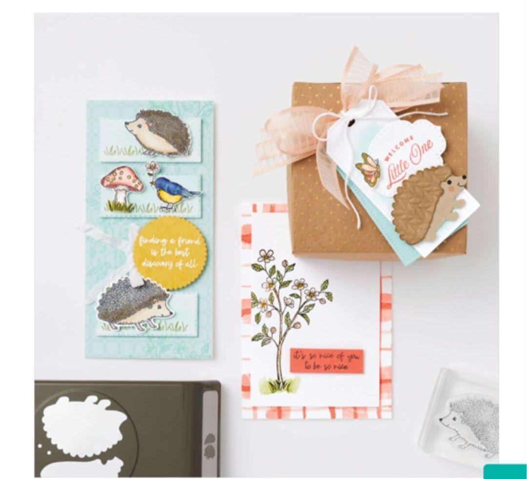 未使用　スタンピンアップ　happy hedgehogs セット