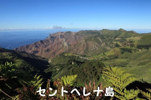 セントヘレナ島バンブーヘッジ農園　200g　コーヒー豆・粉