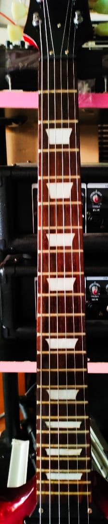 プレイテックSGタイプ