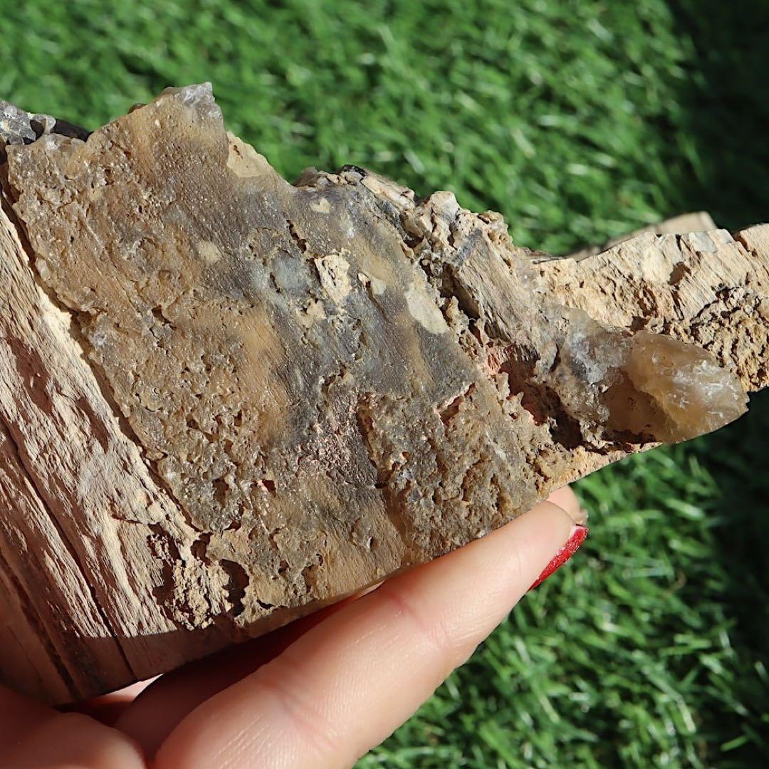 特特特大！珪化木 ペトリファイドウッド 1433g PFW029　 原石 天然石