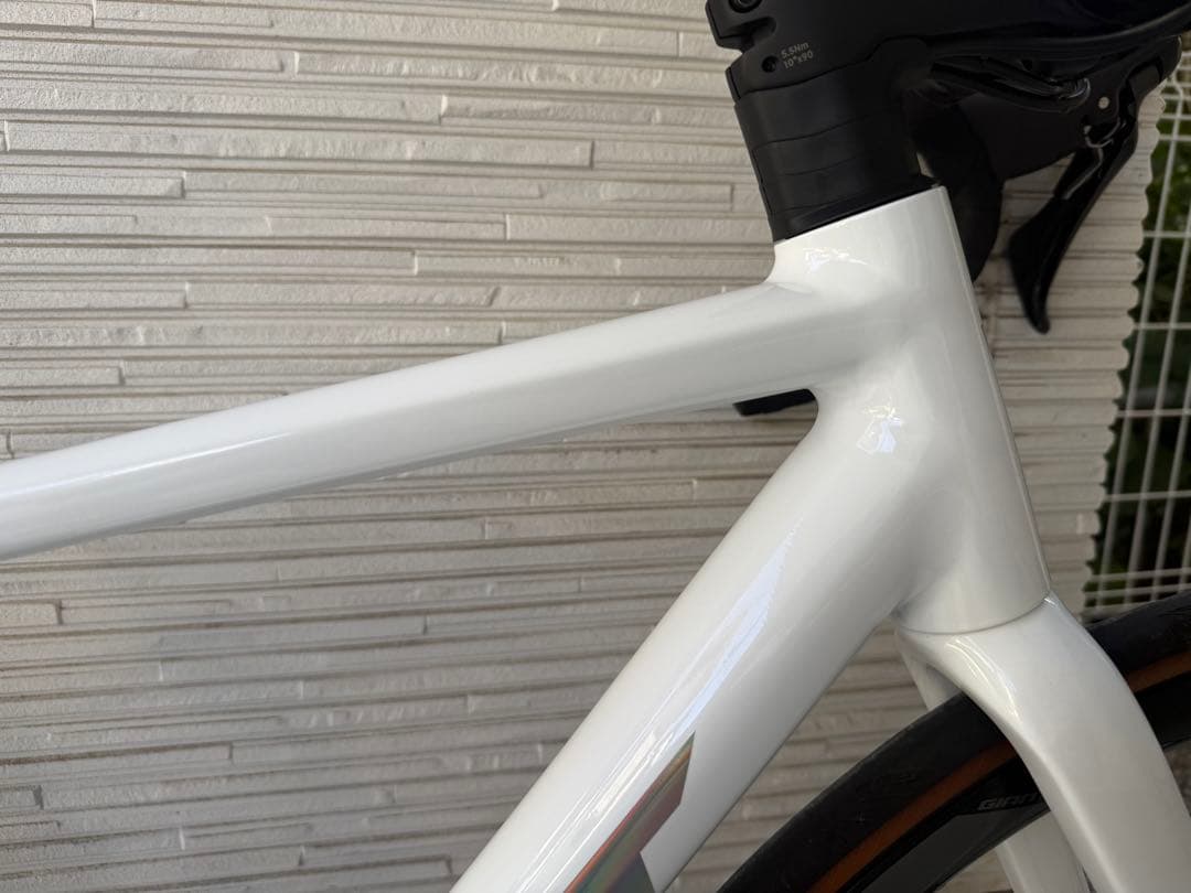 GIANT 「ジャイアント」 GJ-35 LTD 2025年 Sサイズ