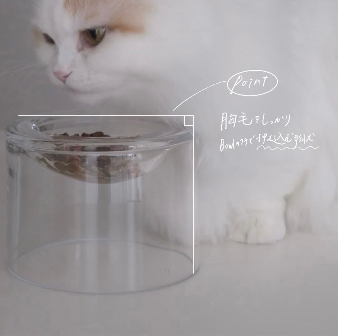 tofmofu トフモフ グラスフードボウル ペット 食器 ガラス フード皿 猫