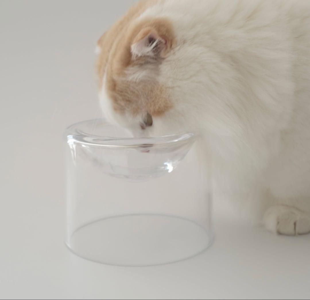 tofmofu トフモフ グラスフードボウル ペット 食器 ガラス フード皿 猫