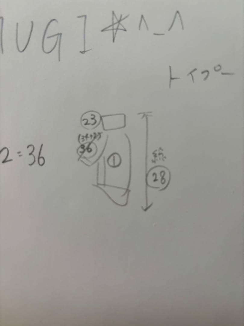 入荷しました⭐︎