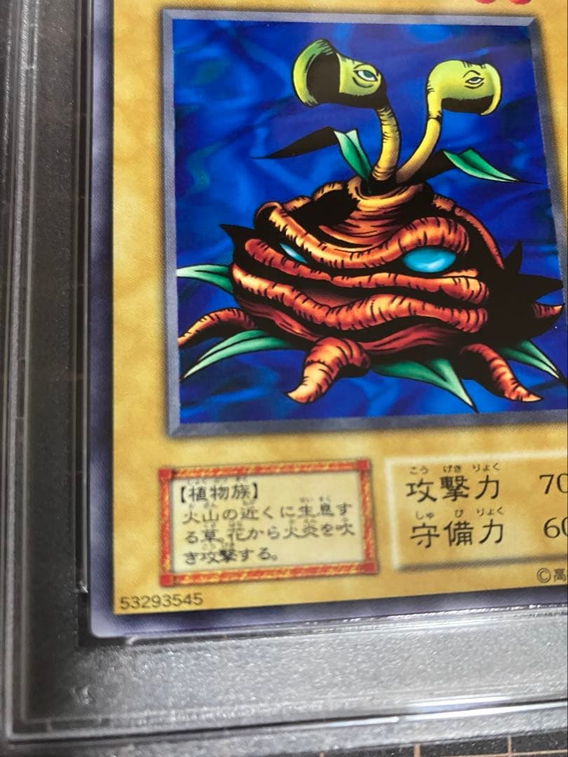 火炎草　PSA10 遊戯王　初期　Vol.1 Firegrass