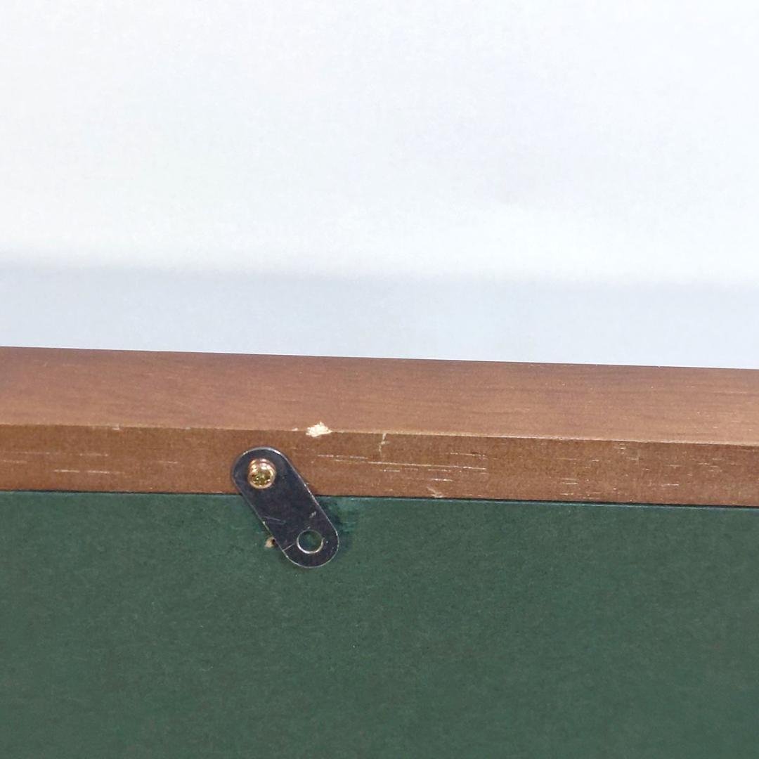 墨彩画? 水彩画? 水墨画?　落款有り 花 額付