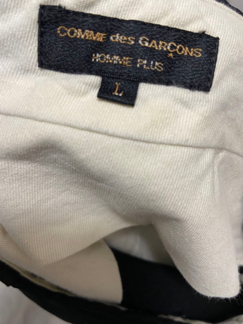 COMME des GARÇONS HOMME PLUS 寅壱パンツ　17aw