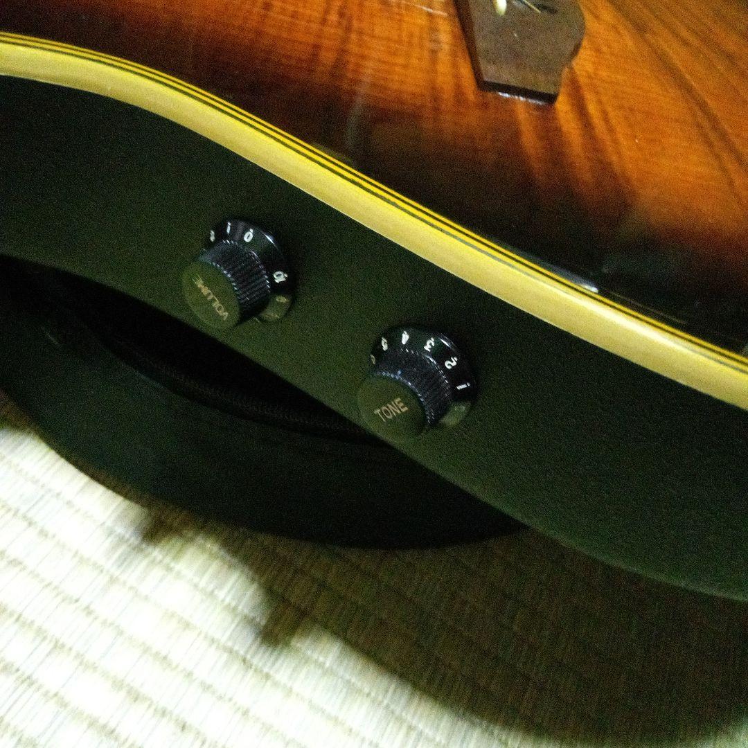 Craftman EA550 エレアコギター