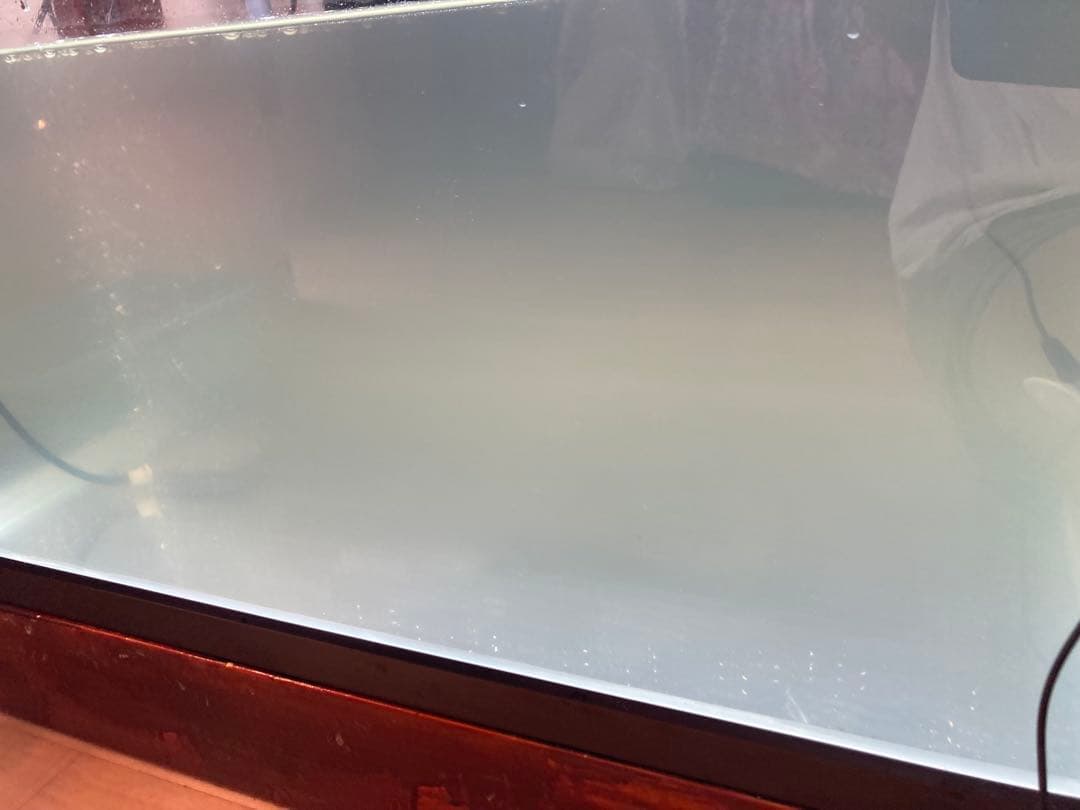 20Lろ材水質浄化抜群濾過フィルター自社製高品質セラミックリング送料込み即時発送