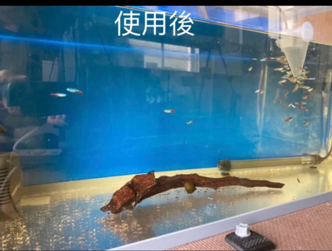 20Lろ材水質浄化抜群濾過フィルター自社製高品質セラミックリング送料込み即時発送