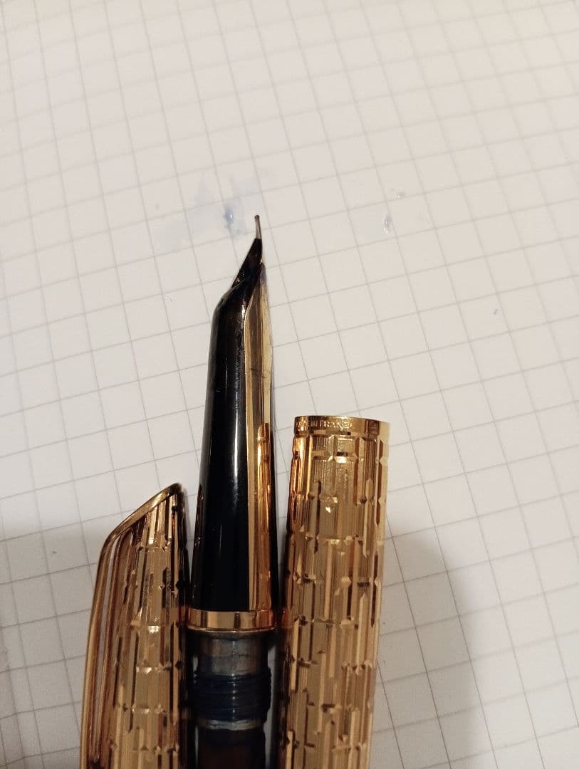 ウォーターマン　cp2 ワニ柄