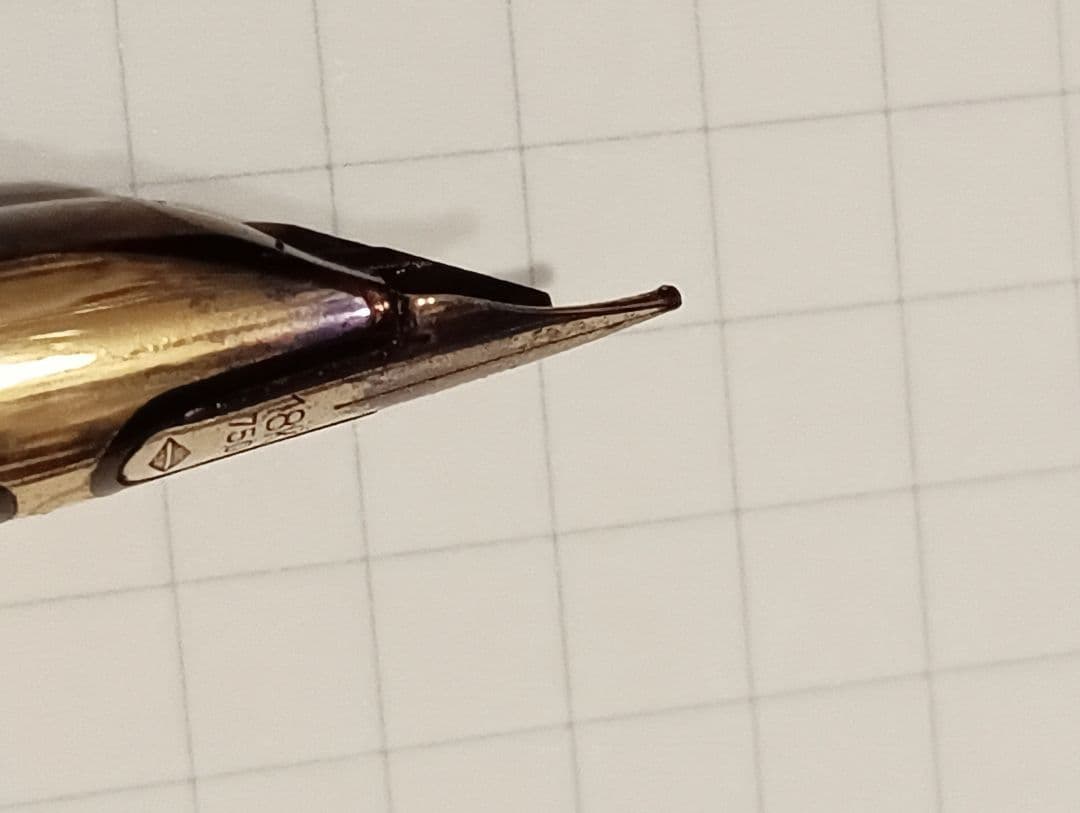 ウォーターマン　cp2 ワニ柄