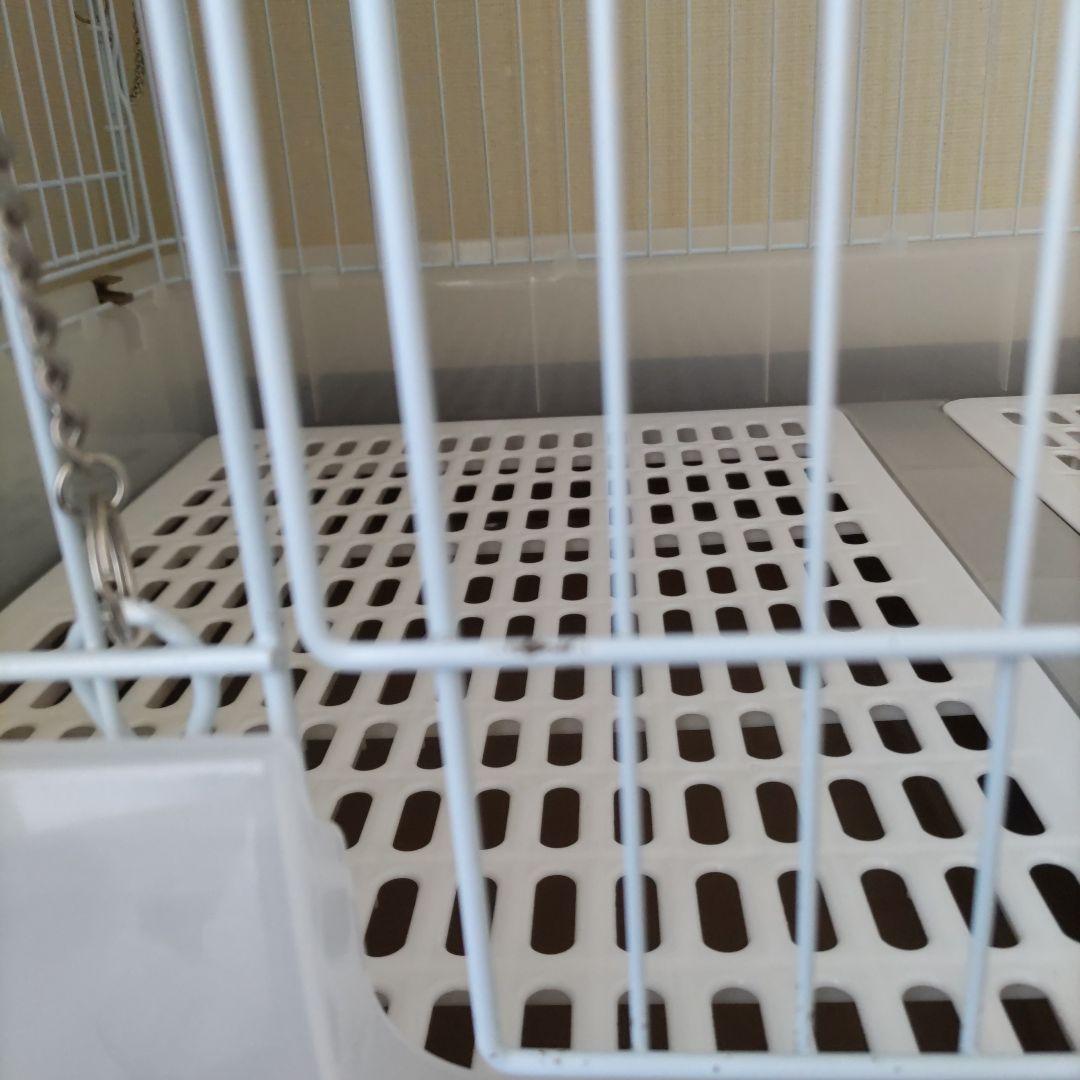 ★半額以下★　マルカン　うさぎのカンタンおそうじケージ　ブラウン　ワイド