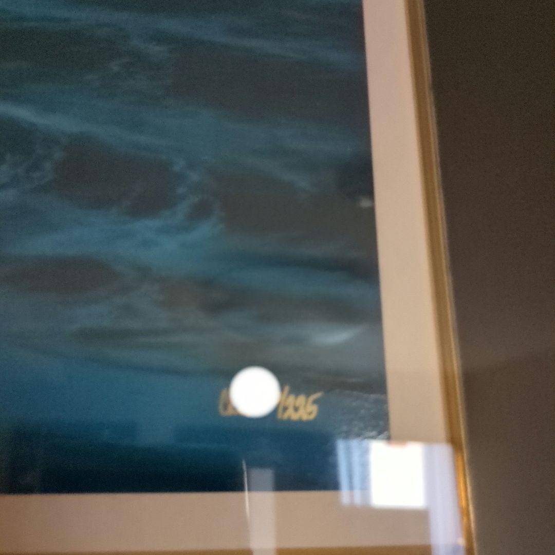 ラッセン　[マウイムーン]Ｓ