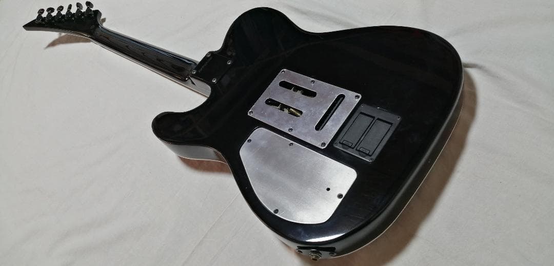 フェルナンデス　18Vサスティナー改　超美品 TEJ 布袋