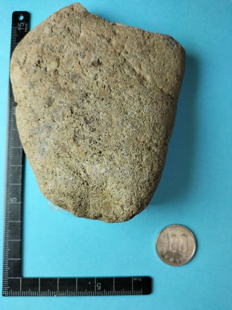 抉り入り磨製石斧? (出土品) 縄文時代前期 ? 約12㌢×9㌢×2㌢です。