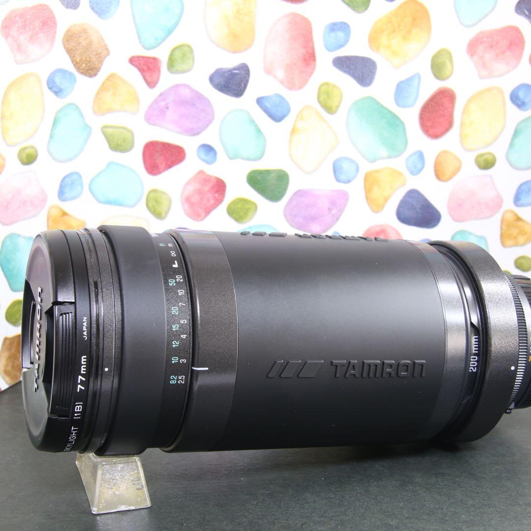 ♥︎◇美品 ◇高性能望遠レンズ♪ ◇TAMRON 200-400ｍｍ NIKON