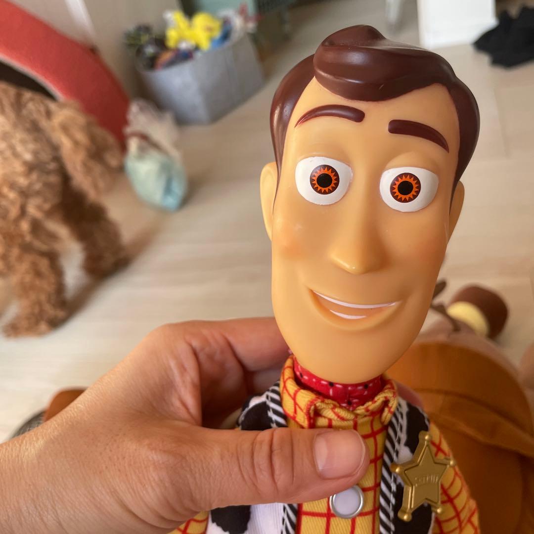 TDL購入！トイ・ストーリー フィギュアセットぬいぐるみ