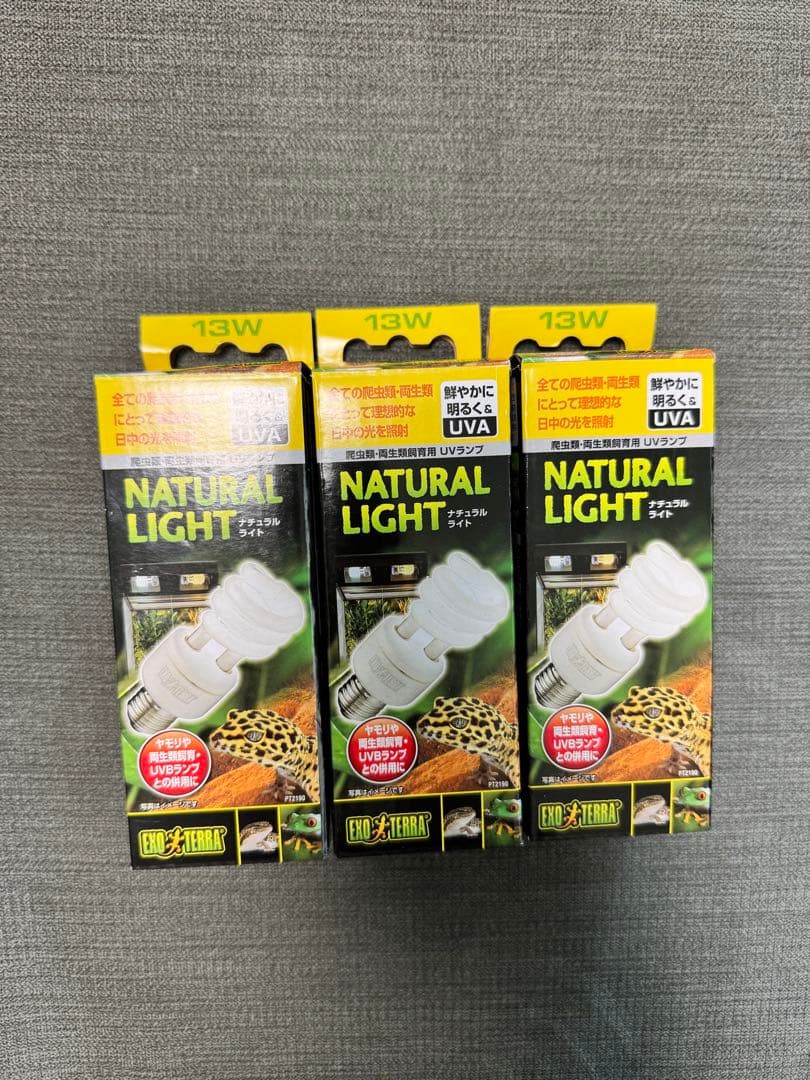 井戸川　セット商品