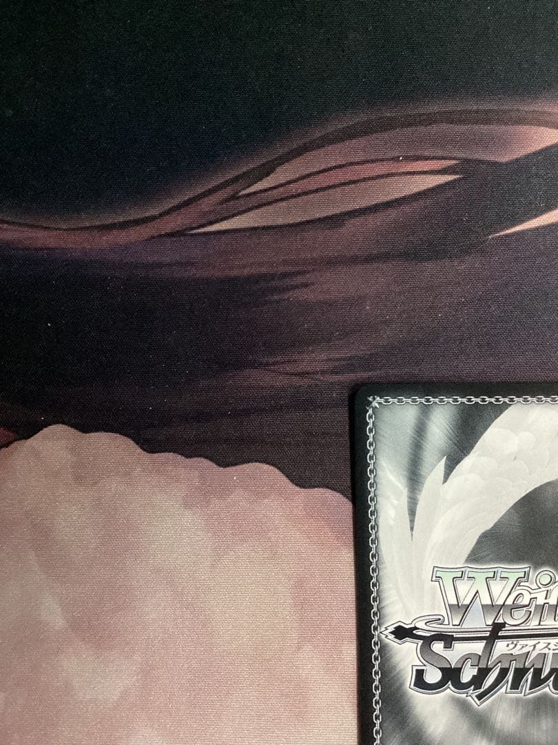 WS “Perdere Omnia” オブリビオニス SP サイン