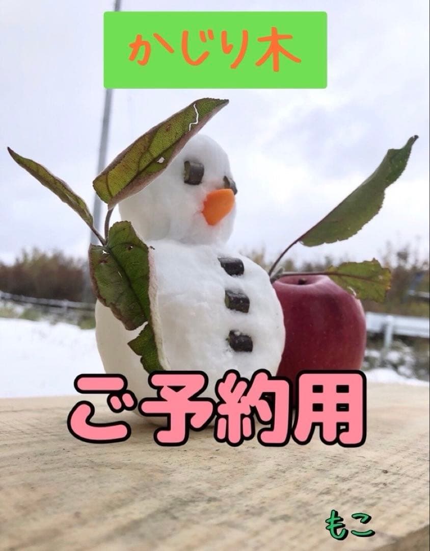 かじり木 ご予約品