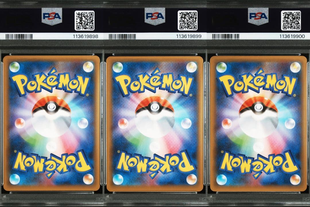 【PSA10】リザードン、フシギバナ、カメックス　25th 3枚セット 連番