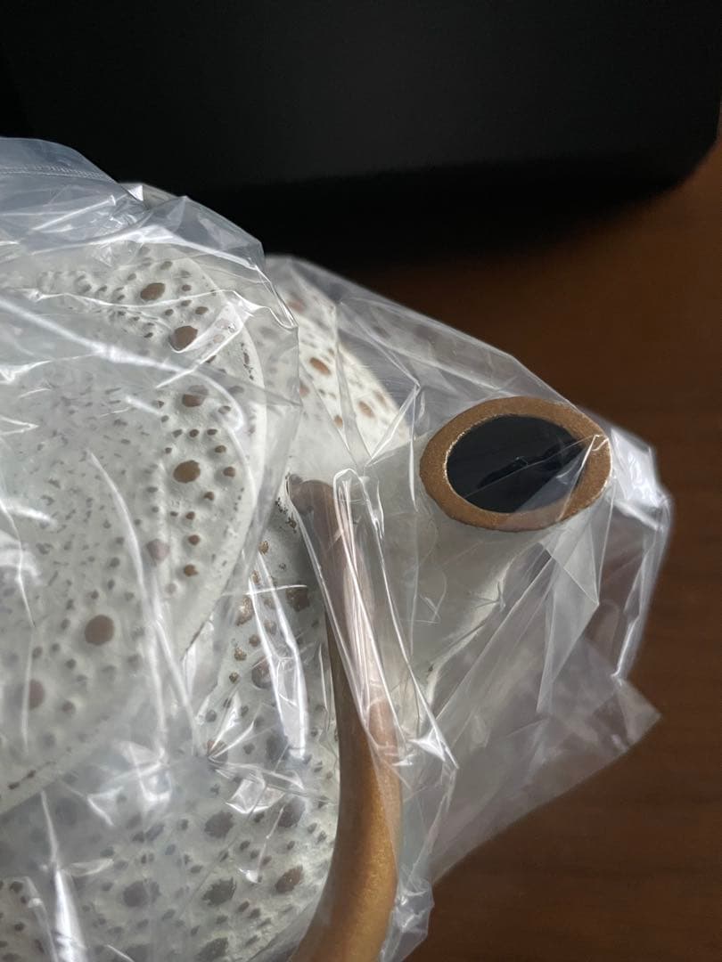 【新品】南部鉄器ティーポット　アンシャンテジャポン　NO.3カモミール　ゴールド