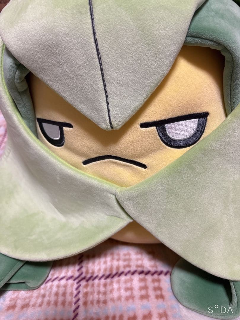 ポケモン もっちりっち クルマユ