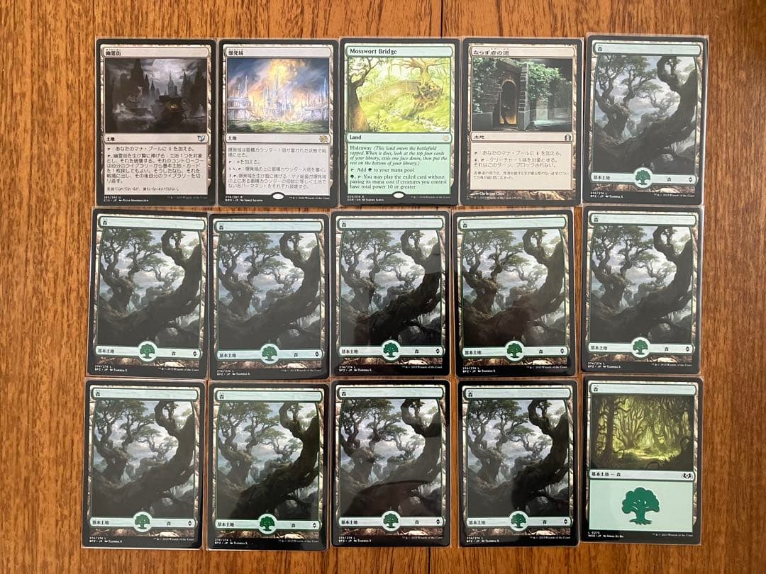 MTG EDH 統率者　原初の飢えガルタ　野生の心セルヴァラ　デッキ