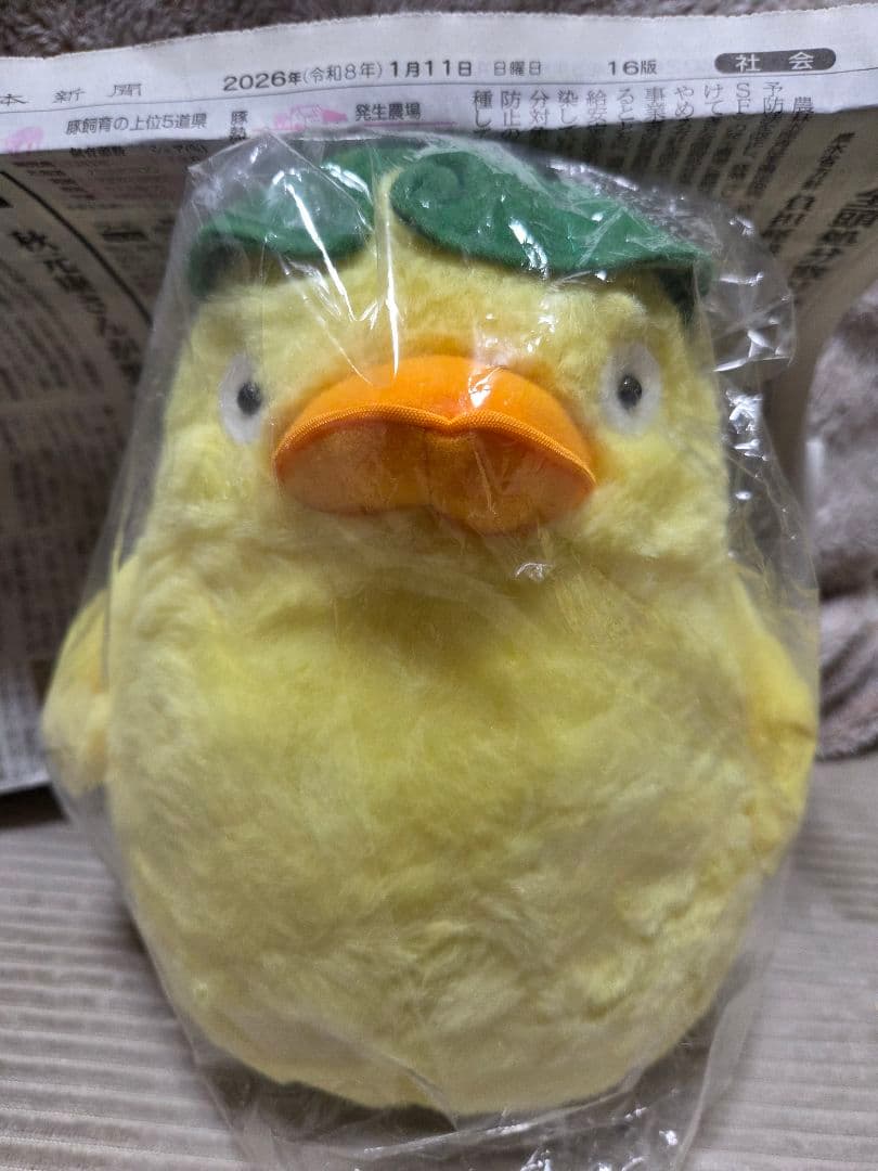 巨大ふわふわオオトリさまぬいぐるみ2個セット