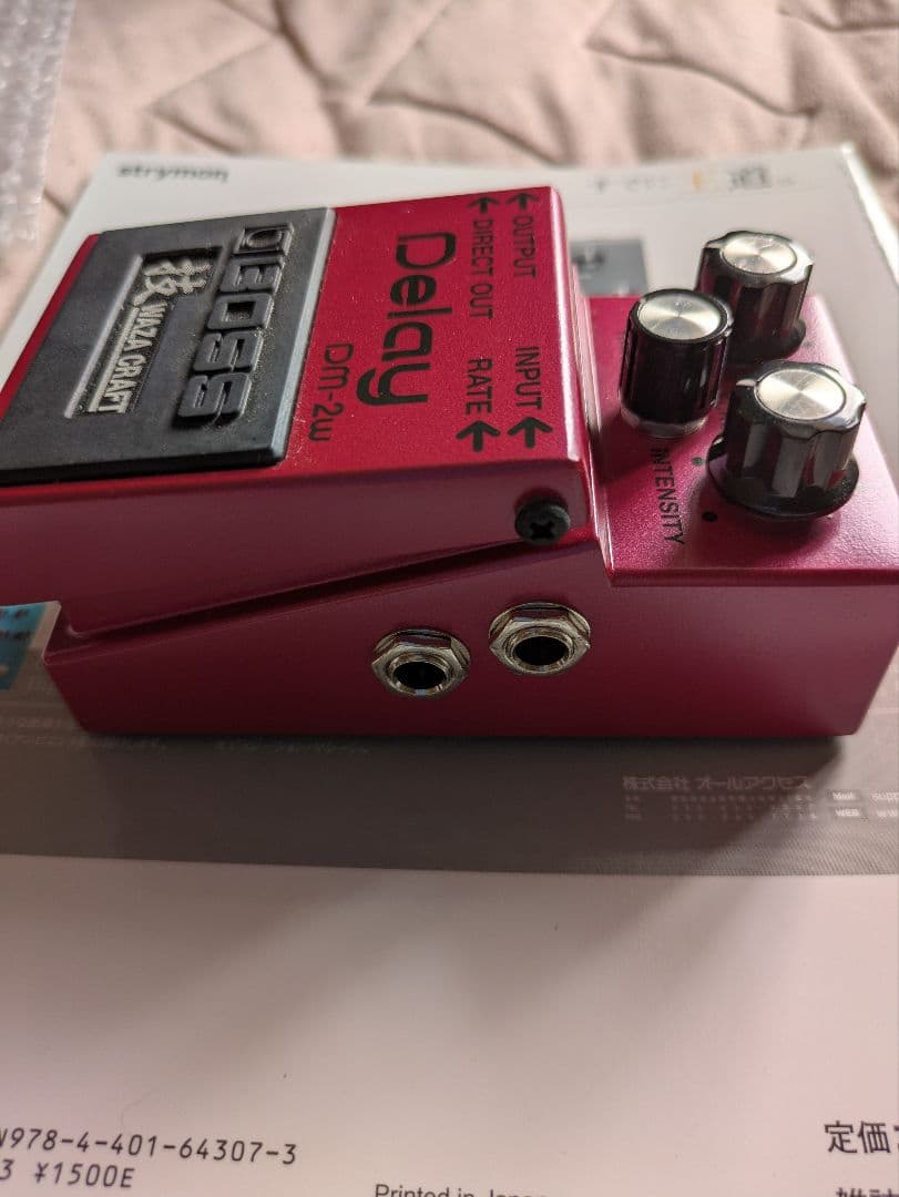 ギター BOSS DM-2W