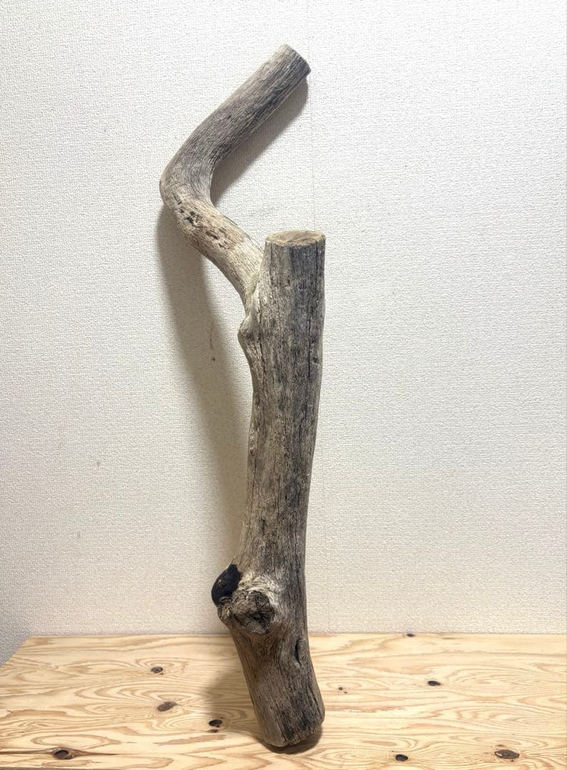 Ｇ39 流木　爬虫類　両生類　小動物シェルター　DIY ハンドメイド　観葉植物