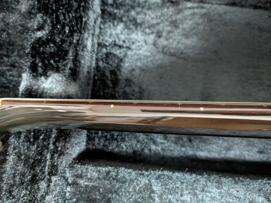 FERNANDES APG 100 24F仕様