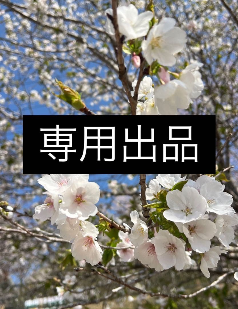 専用出品でもう1つ出しましたので2つ購入お願いいたします