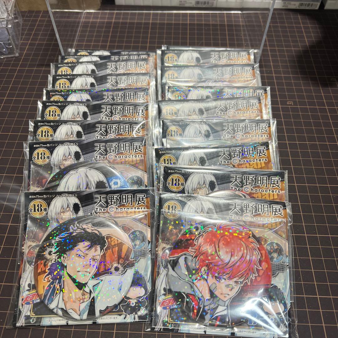 天野明展 家庭教師ヒットマンREBORN!缶バッジver.B 18種コンプリート