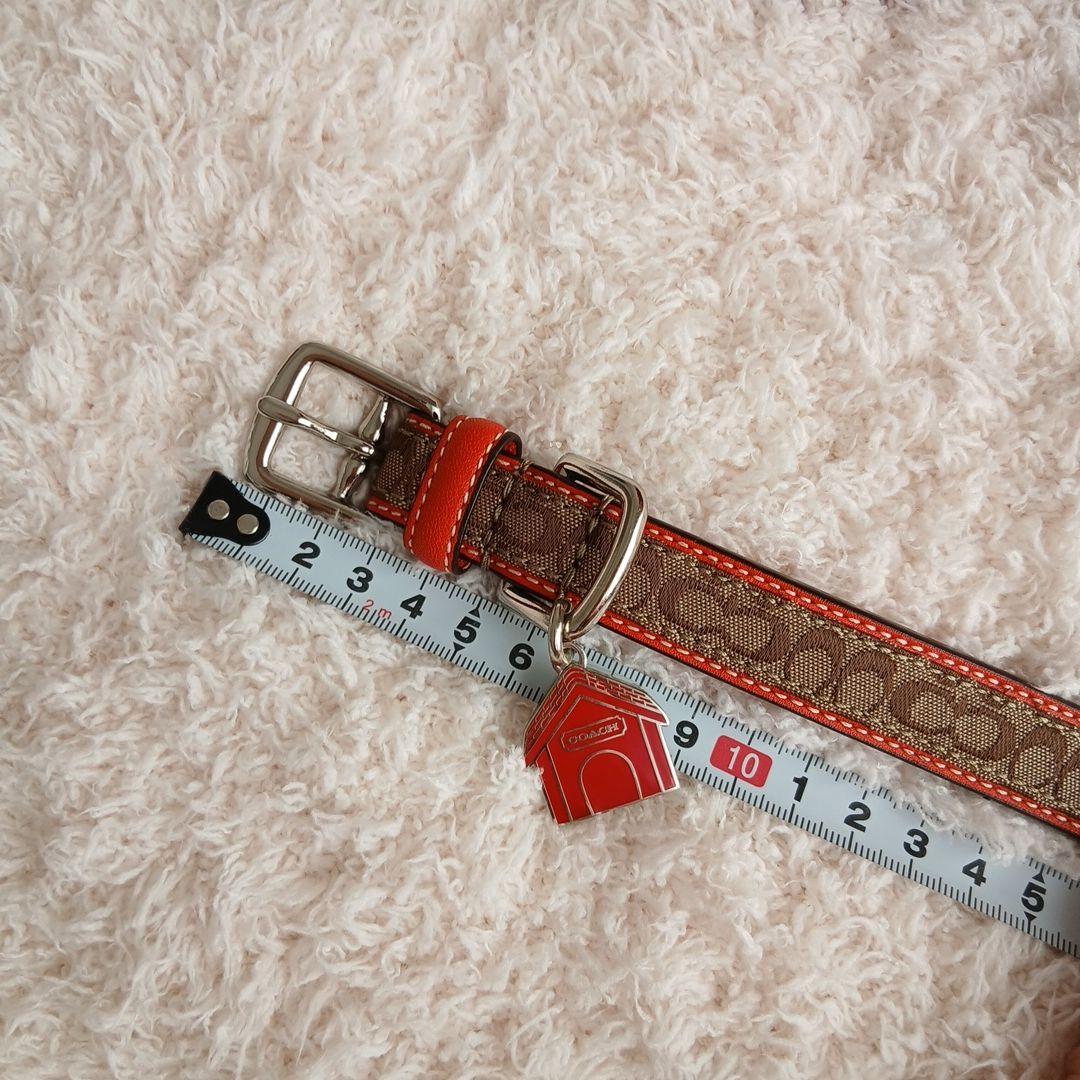 新品　未使用　COACH　コーチ　犬　シグネチャー　首輪　レア　XS　小型犬