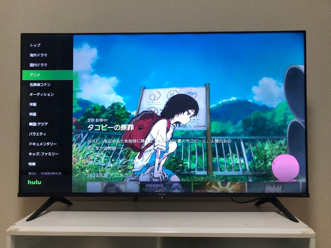 ハイセンス 50V型 液晶テレビ 4Kチューナー内蔵 50E6G 2023年製