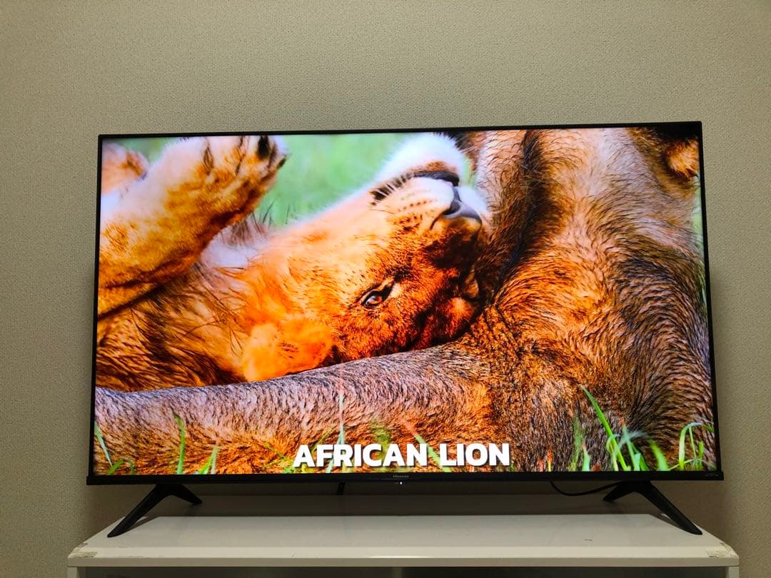 ハイセンス 50V型 液晶テレビ 4Kチューナー内蔵 50E6G 2023年製