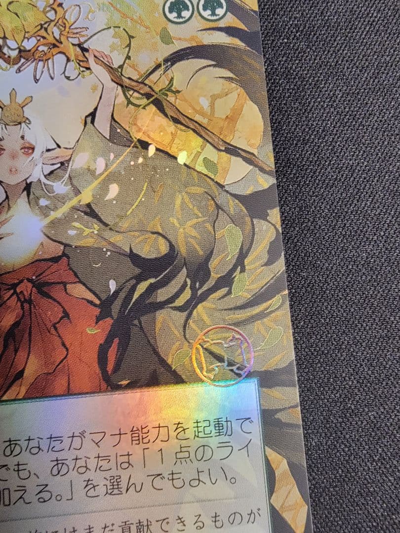 チャネル MTG ドラフト・セットブースター版