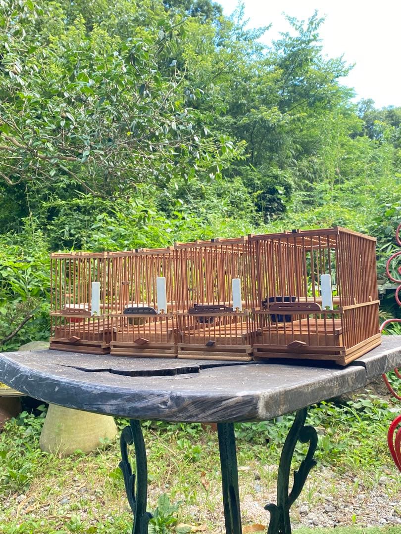 竹製鳥メジロ籠4個セット