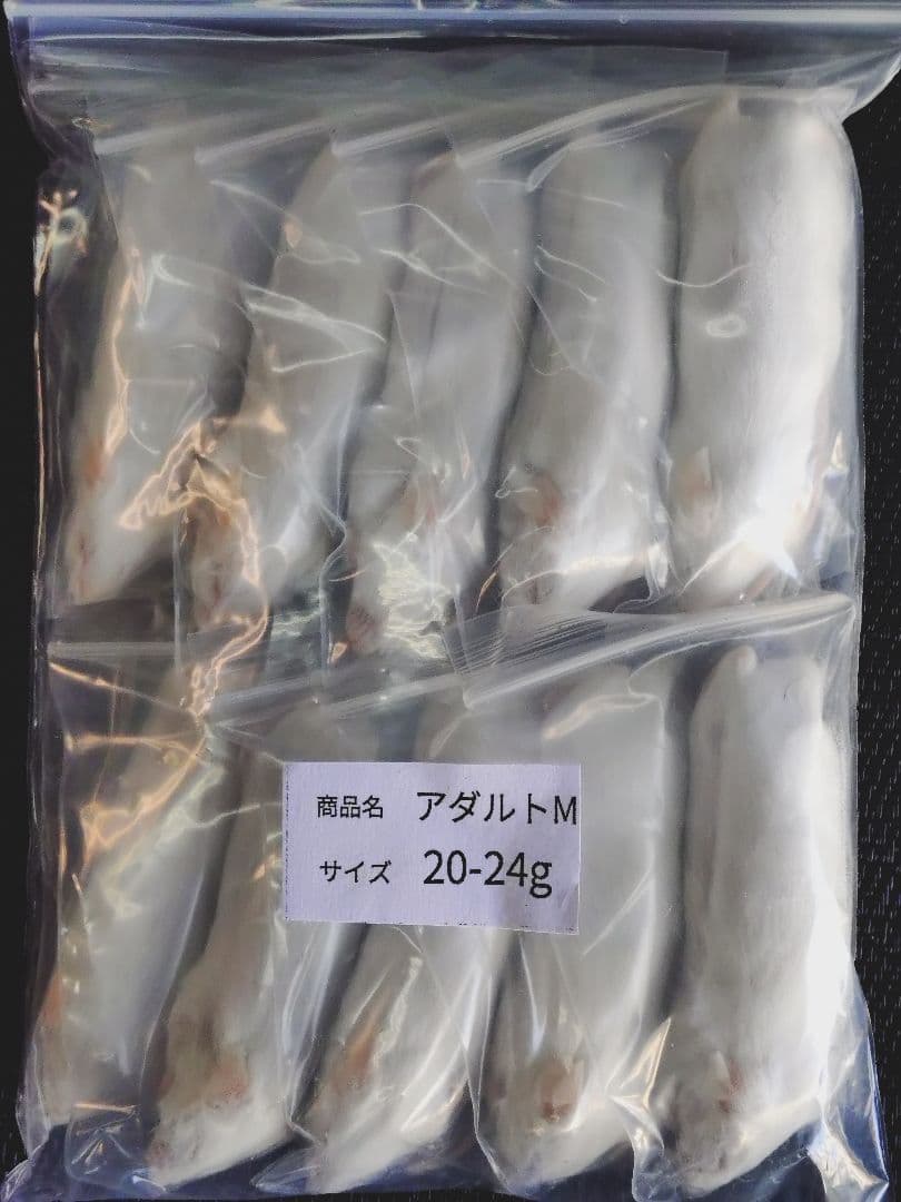 送料無料　冷凍マウスアダルトM50匹