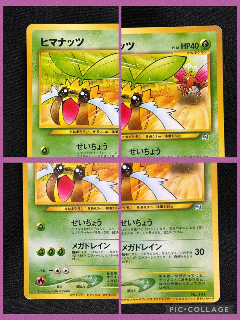 P*0様 旧裏★ポケモンカードになったワケ おまけカード★5枚セット