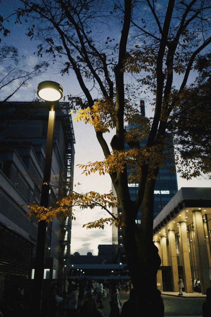 デジタルカメラ SONY RX1R