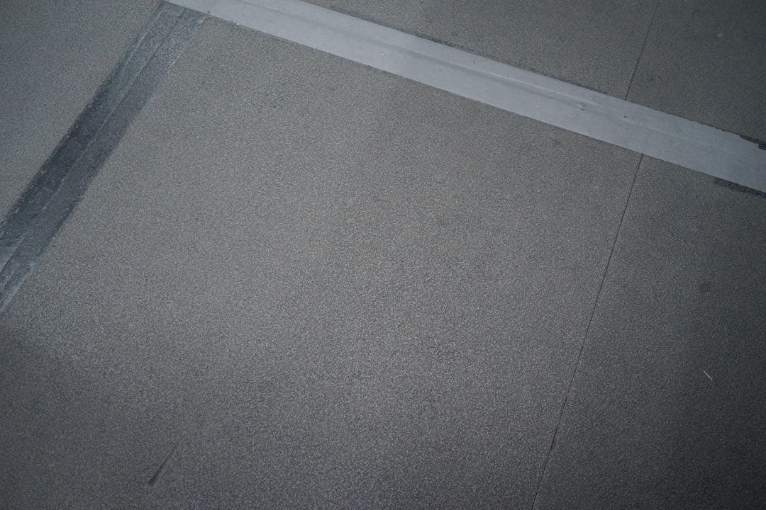 デジタルカメラ SONY RX1R