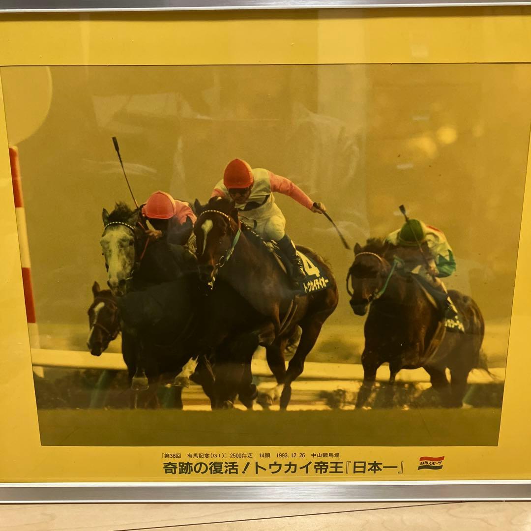 日刊スポーツ　トーカイテイオー公式パネル写真