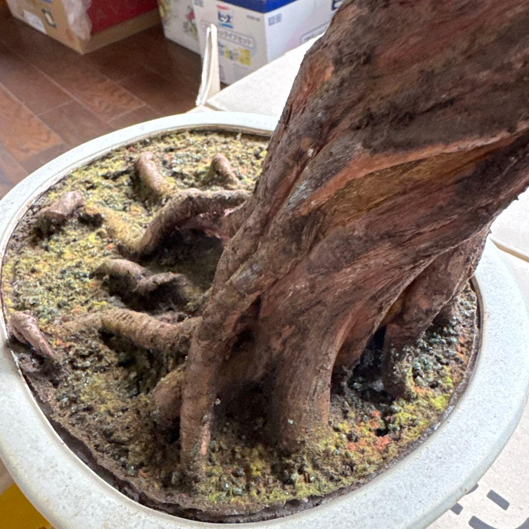 ザクロの木 置物 インテリア