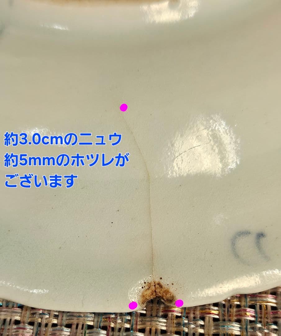 【専用ページ】【本物保証❗】江戸前期　 初期伊万里　芙蓉手花鳥図輪花皿 14.8