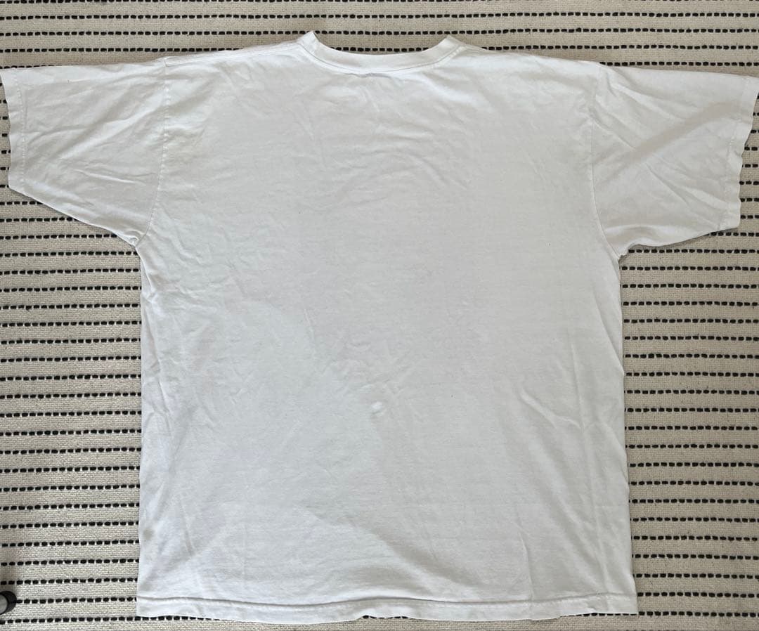 パタゴニア ビンテージ　Patagonia 90’s オーガニック Tシャツ