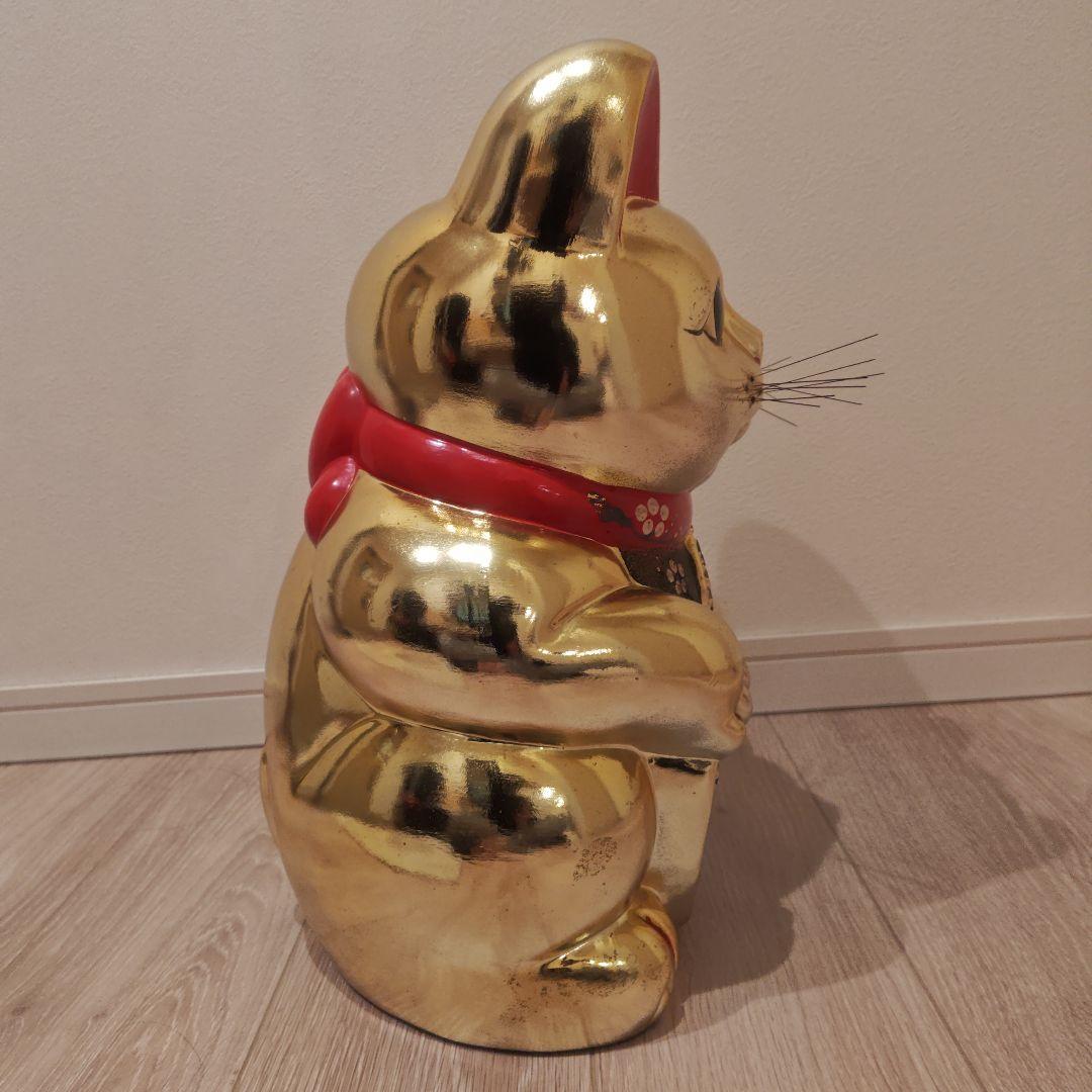 常滑焼 金色 招き猫 貯金箱 42cm
