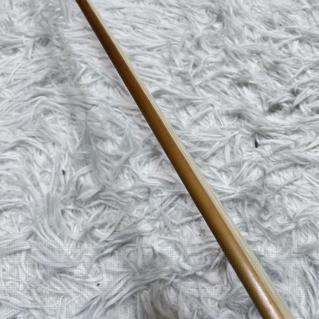 極美品　電気　ニ胡　エレキ　セミハードケース付き